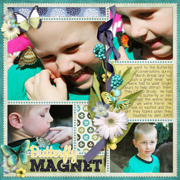 butterfly-magnet.jpg