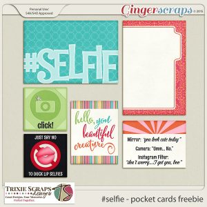 Selfie Pocket Cards