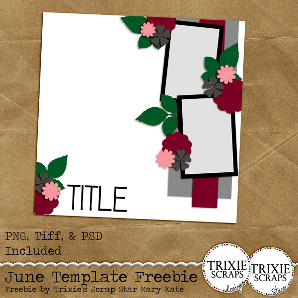 ts_june2015_template