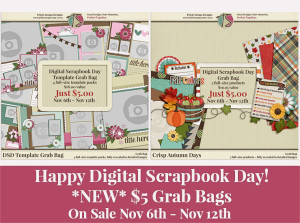 DSD Grab Bags from Trixie Scraps