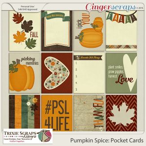 Pumpkin Spice Pocket Cards