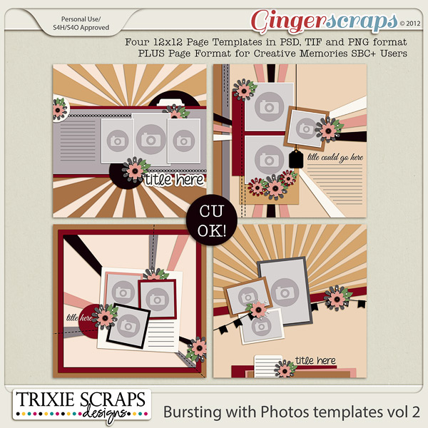 Bursting with Photos vol 2 by Trixie Scraps Designs