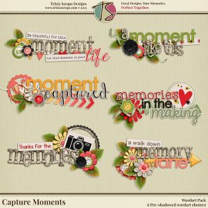 Capture Moments Wordart