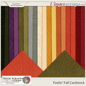 Feelin' Fall Cardstock