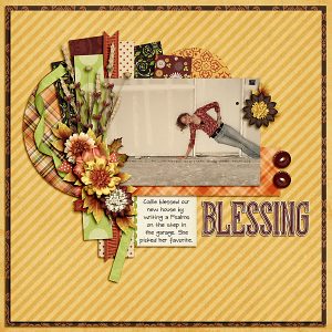 Layout by Shauna