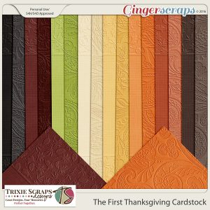 The First Thanksgiving Cardstock