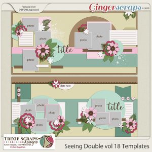 Seeing Double vol 18 template pack